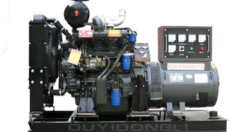 30kW柴油發(fā)電機(jī)組 為養(yǎng)殖場提供可靠電力保障的優(yōu)選設(shè)備