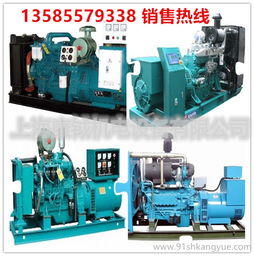 武漢康鉞機(jī)電 專業(yè)提供yc2018d 15kw玉柴柴油發(fā)電機(jī)組直銷與租賃服務(wù)